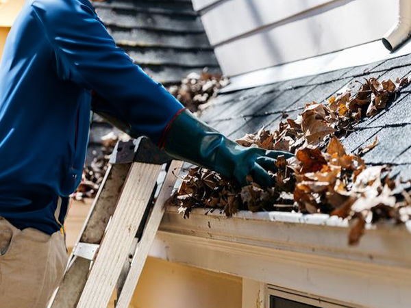 midlakes cleaning gutter cleaning midlakes cleaning gutter cleaning